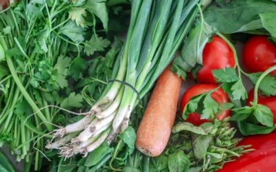 Help needed with food survey